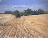 Harvest Field, Aldington, Kent